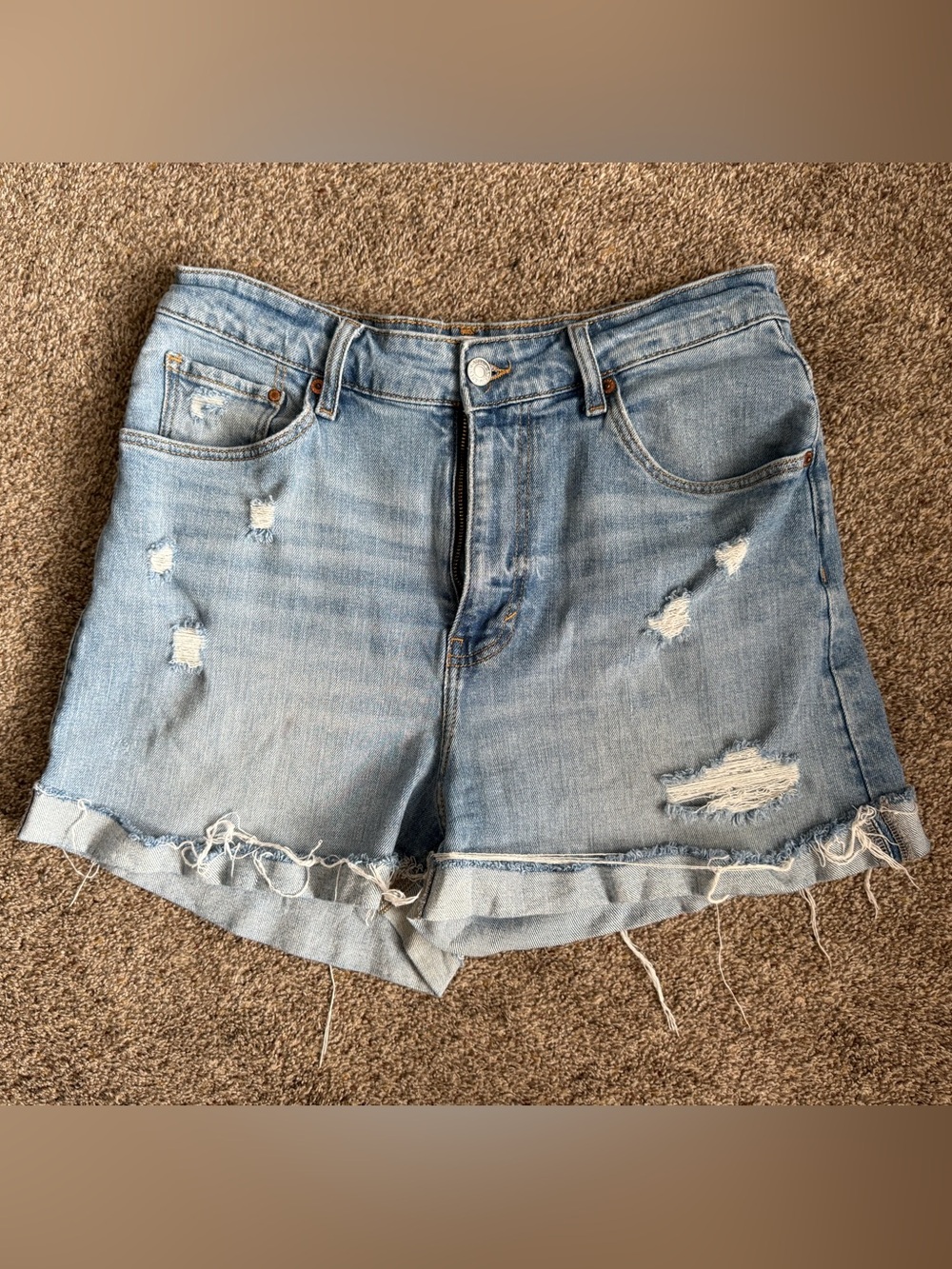 Vizio Light Wash Distressed Denim Shorts